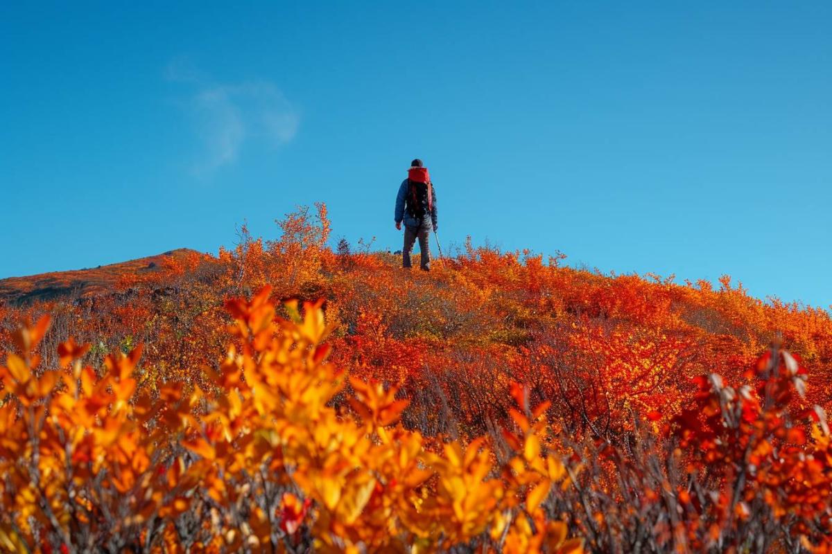 Les 10 randonnées les plus éblouissantes pour admirer les couleurs automnales